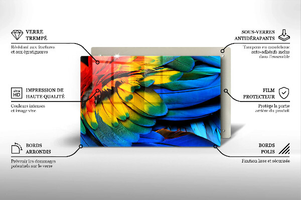 Főzőlap védő üveglap Színes papagáj toll