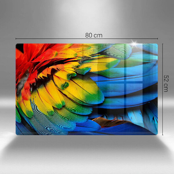 Főzőlap védő üveglap Színes papagáj toll