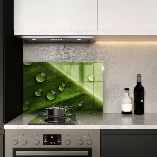 Tűzhelyvédő üveglap Természet harmat és levél