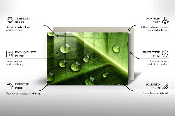 Tűzhelyvédő üveglap Természet harmat és levél