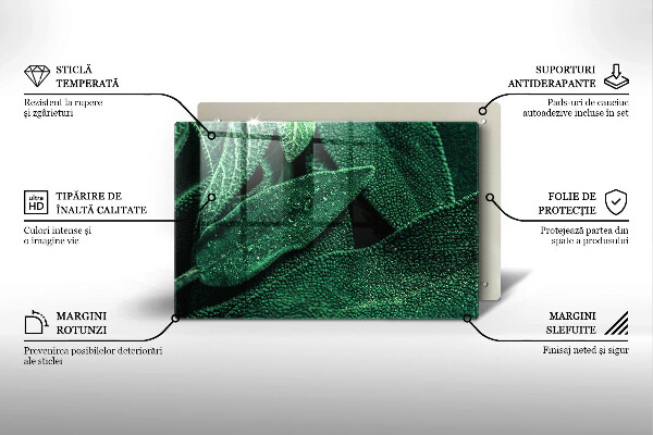 Főzőlap védő üveglap A növény levelei