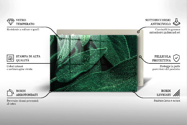Főzőlap védő üveglap A növény levelei