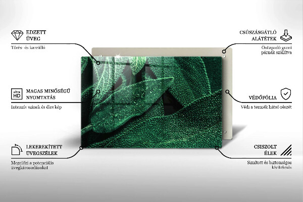 Főzőlap védő üveglap A növény levelei