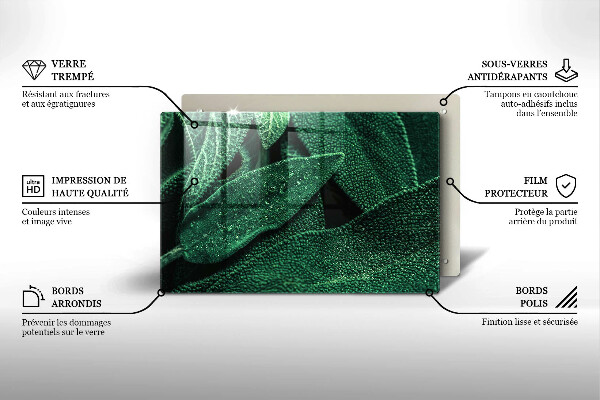 Főzőlap védő üveglap A növény levelei