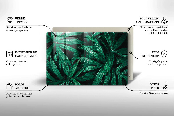 Tűzhelyvédő üveglap Növények levelei