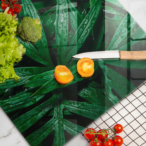 Tűzhelyvédő üveglap Növények levelei