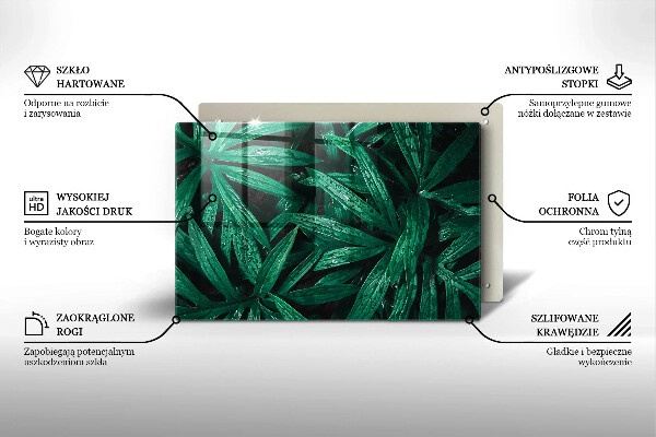 Tűzhelyvédő üveglap Növények levelei