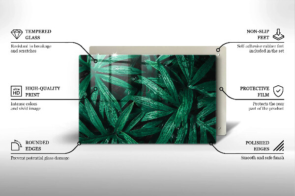 Tűzhelyvédő üveglap Növények levelei