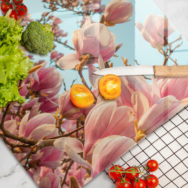 Tűzhelyvédő üveglap Rózsaszín virágú fa