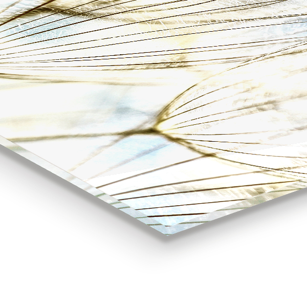 Konyhai panel Pitypang pitypang a szélben