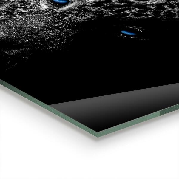 Konyhai panel Sötét párduc vadmacska