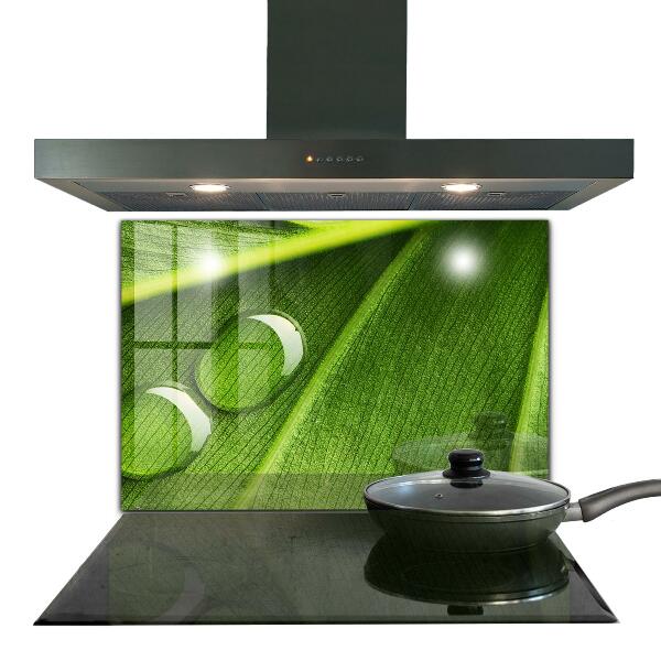 Konyhai panel Harmatcsepp a levélen