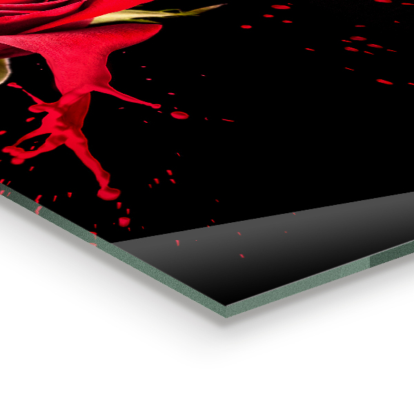 Konyhai fali panel Vörös rózsa absztrakt