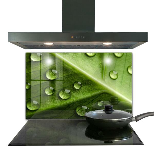 Konyhai fali panel Levél a reggeli harmat cseppjeivel