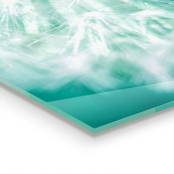 Konyhai fali panel Pitypang a szélben növény