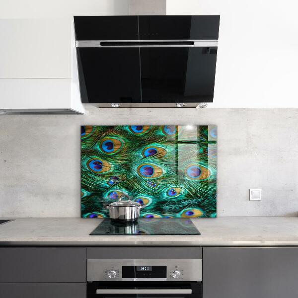 Konyhai panel Pávatollak gyönyörű természet