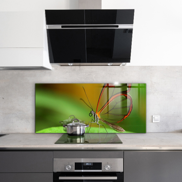 Konyhai panel Pillangó a levélen