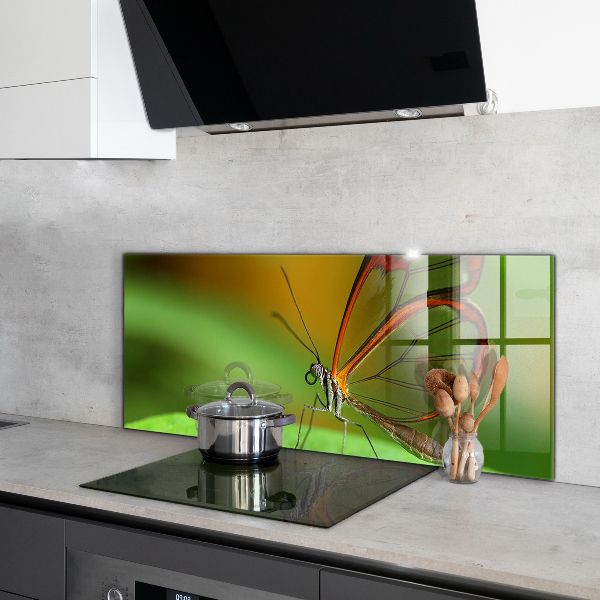 Konyhai panel Pillangó a levélen