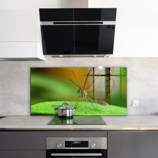 Konyhai panel Pillangó a levélen