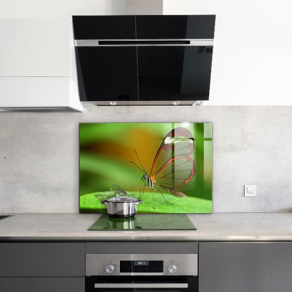 Konyhai panel Pillangó a levélen