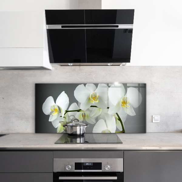 Konyhai fali panel Fekete háttér fehér orchidea