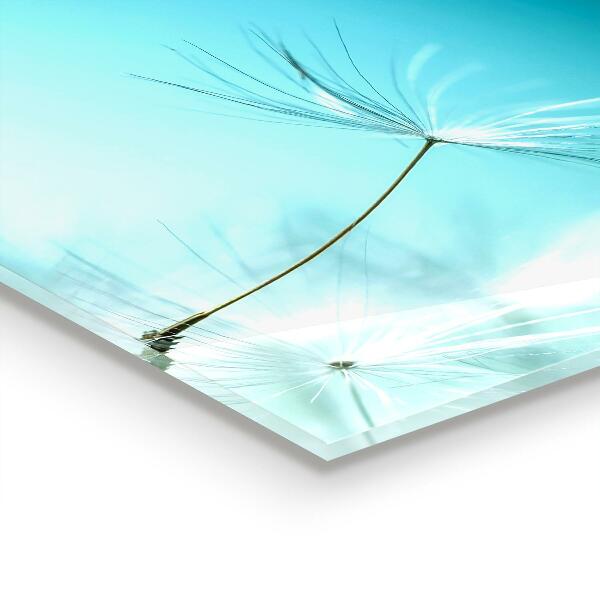 Konyhai fali panel Pitypang pitypang a szélben