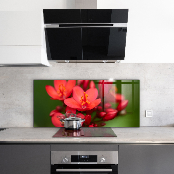 Konyhai fali panel Virágzó virágbimbók