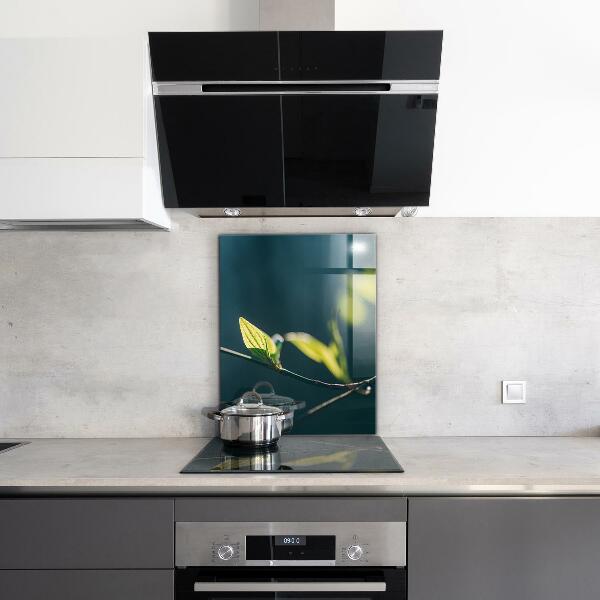 Konyhai fali panel Fényes levél az ágon