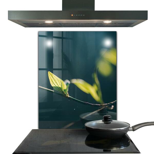 Konyhai fali panel Fényes levél az ágon