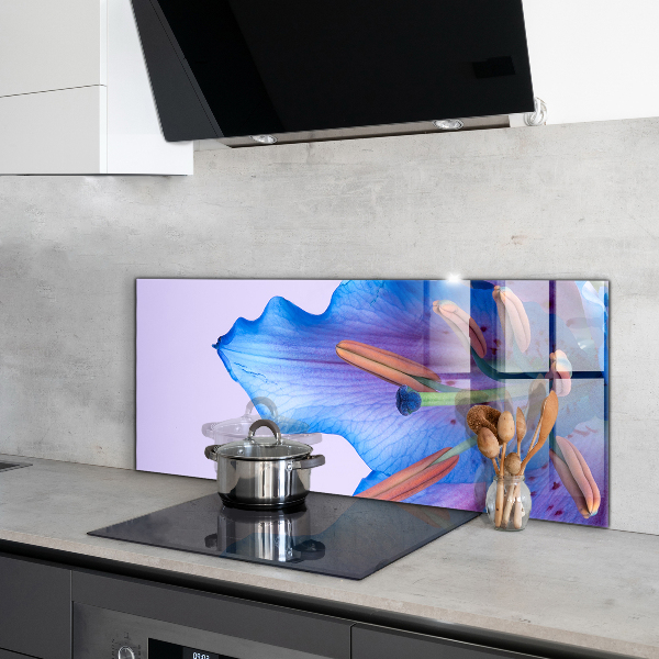 Konyhai fali panel Gyönyörű kék liliom