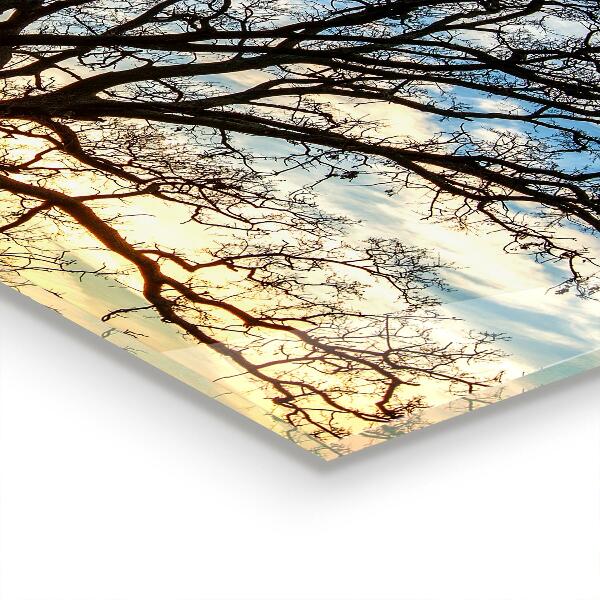 Konyhai panel Táj rét reggel