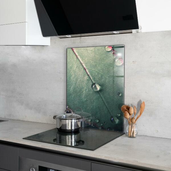 Konyhai fali panel Levél harmatcseppel