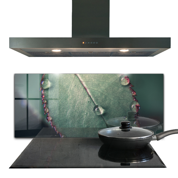 Konyhai fali panel Levél harmatcseppel