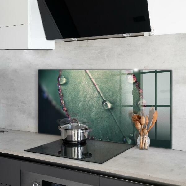 Konyhai fali panel Levél harmatcseppel