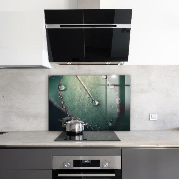 Konyhai fali panel Levél harmatcseppel