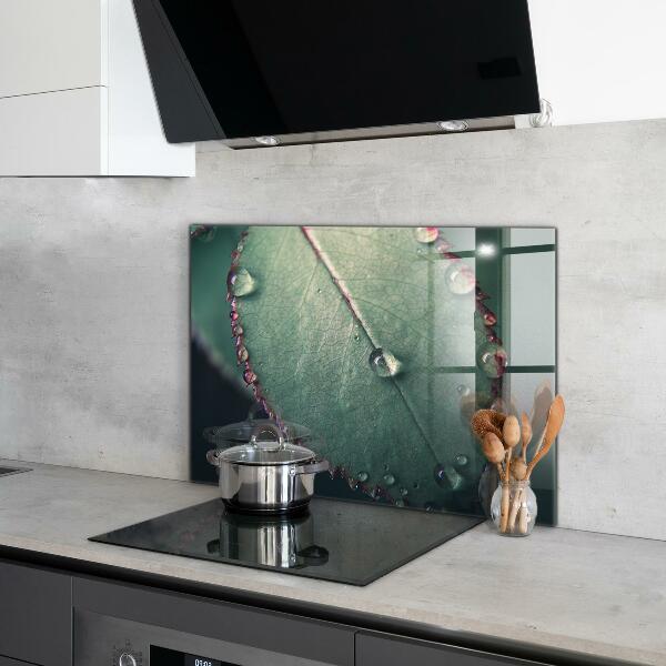 Konyhai fali panel Levél harmatcseppel