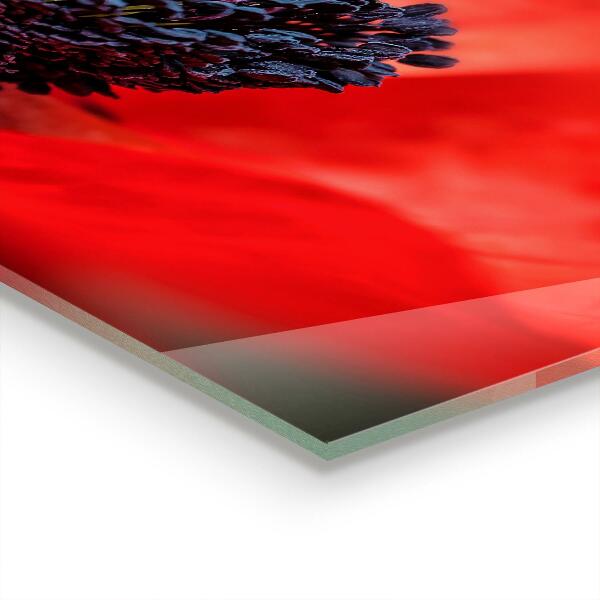 Konyhai fali panel Red poppy részletek