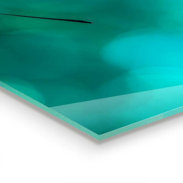 Konyhai panel Gyönyörű pillangó a természetben