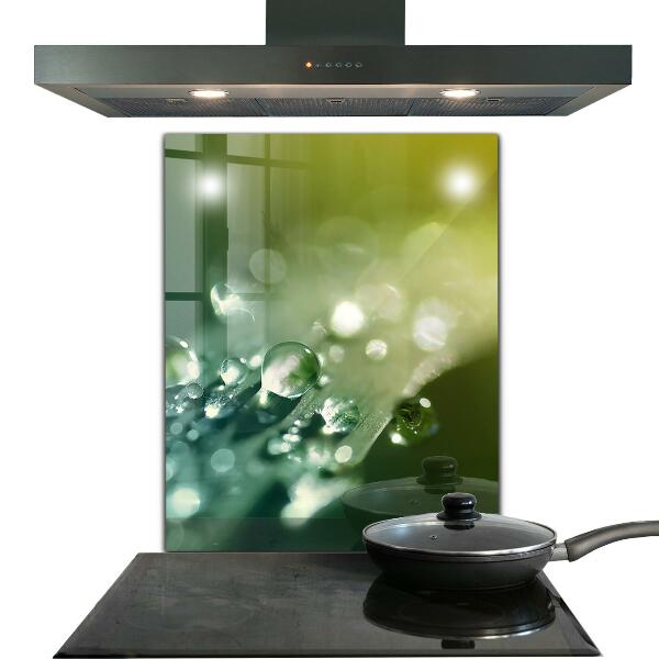 Konyhai fali panel Harmat a zöld leveleken