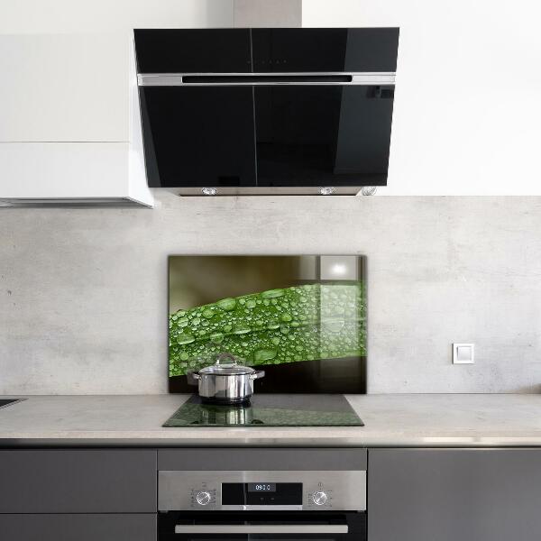 Konyhai fali panel Zöld levél eső után