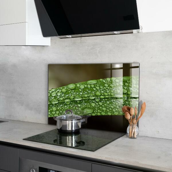 Konyhai fali panel Zöld levél eső után