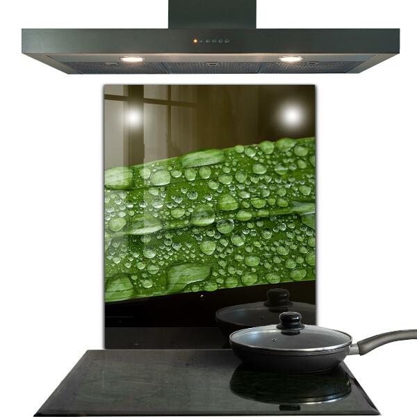 Konyhai fali panel Zöld levél eső után