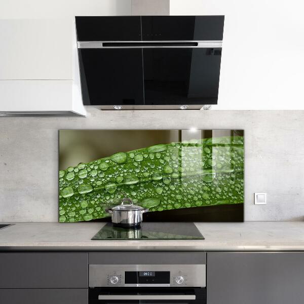 Konyhai fali panel Zöld levél eső után