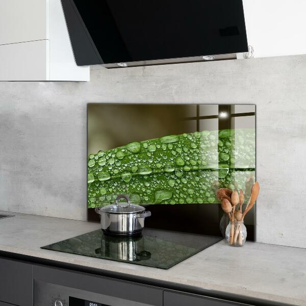 Konyhai fali panel Zöld levél eső után