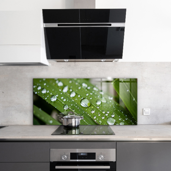 Konyhai fali panel Harmatcseppek a fűben