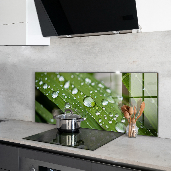 Konyhai fali panel Harmatcseppek a fűben