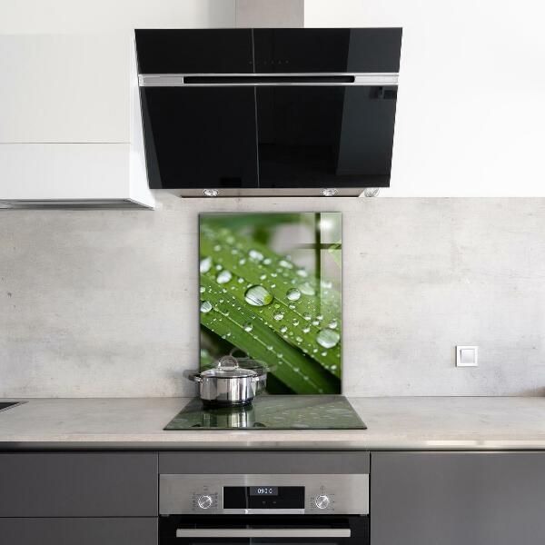 Konyhai fali panel Harmatcseppek a fűben