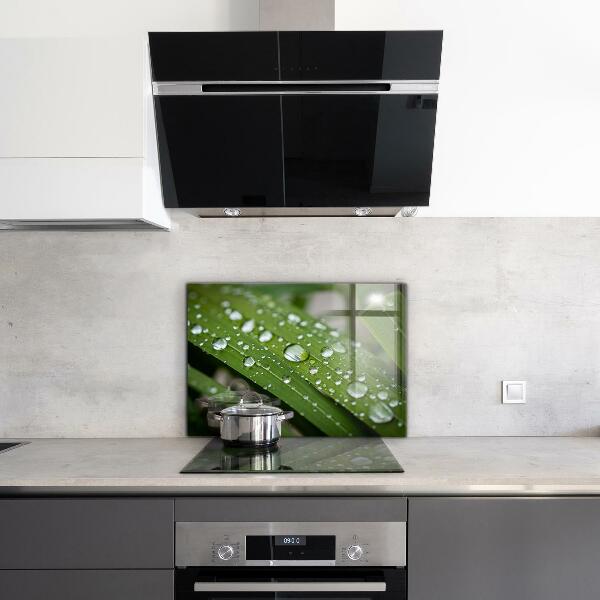 Konyhai fali panel Harmatcseppek a fűben