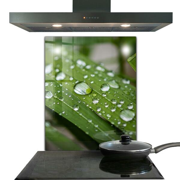 Konyhai fali panel Harmatcseppek a fűben