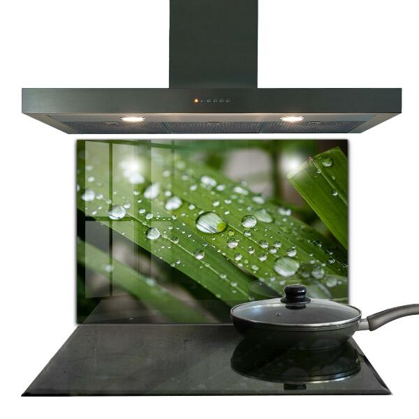 Konyhai fali panel Harmatcseppek a fűben